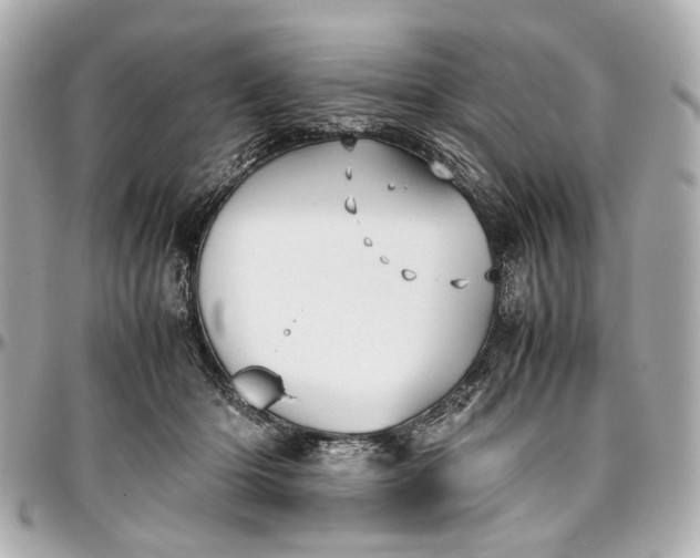 X0000097000414200802221525