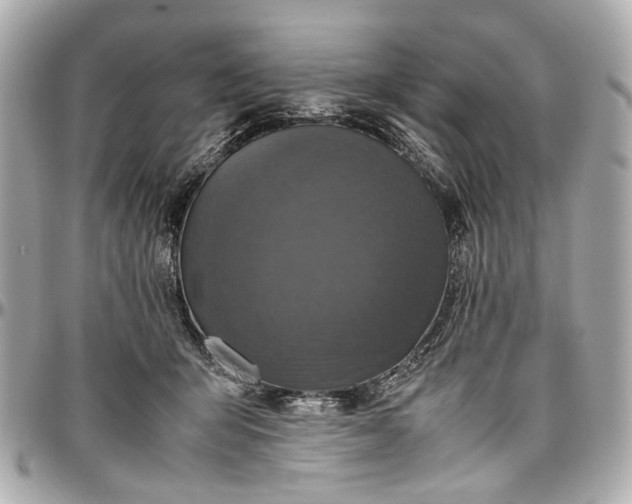 X0000097000415200802221525