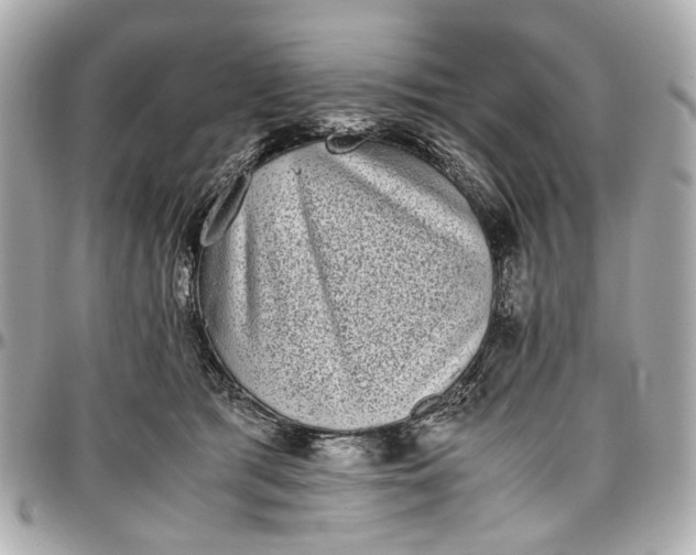 X0000097000417200802221525