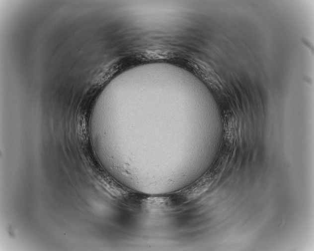 X0000097000418200802221525