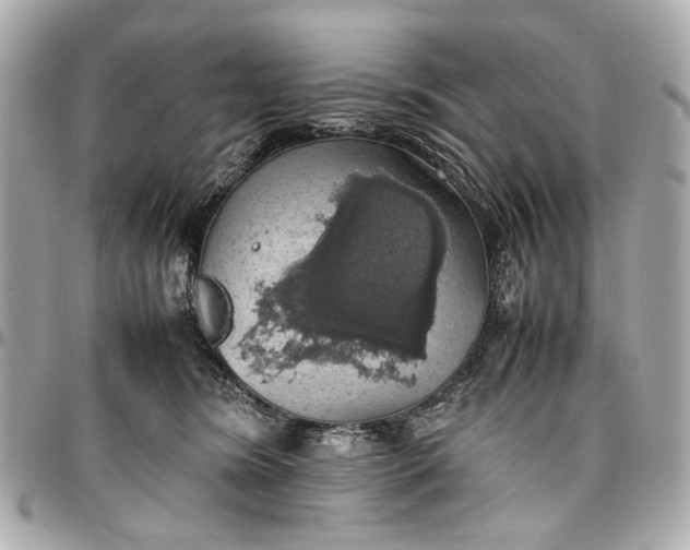 X0000097000420200802221525