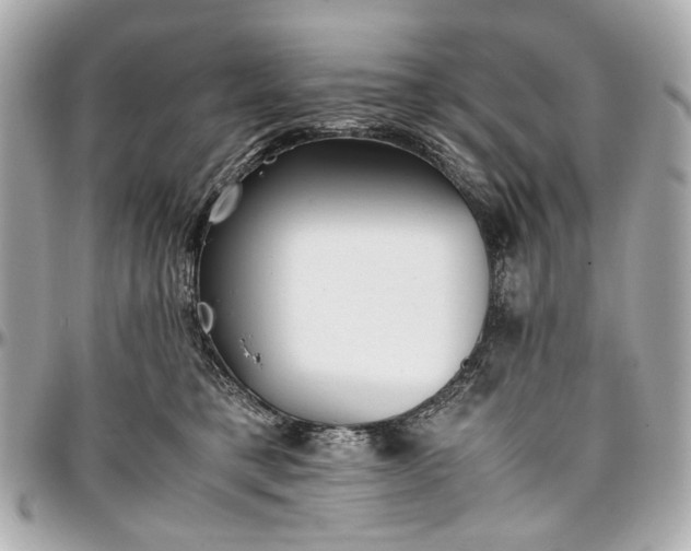 X0000097000421200802221525