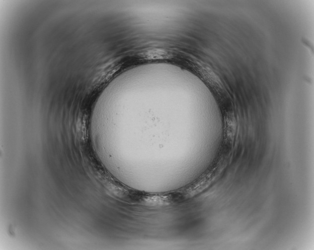 X0000097000422200802221525