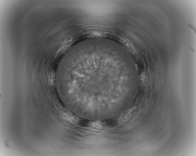 X0000097000423200802221525