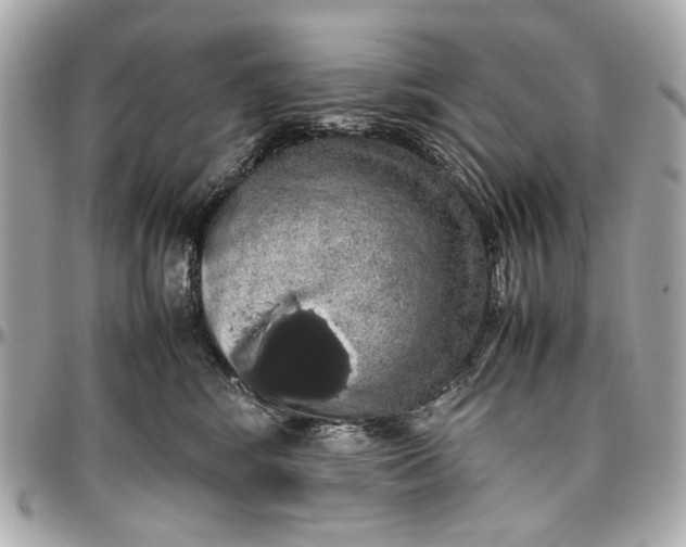 X0000097000424200802221525