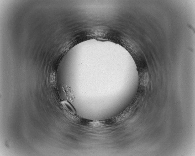 X0000097000425200802221525