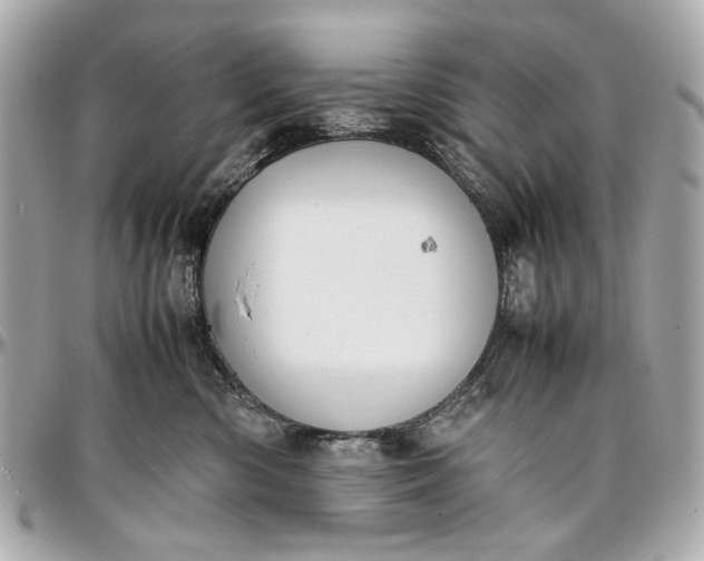 X0000097000426200802221525