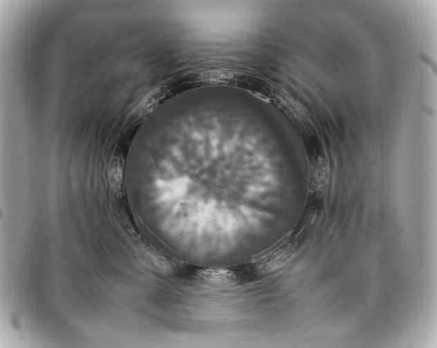 X0000097000427200802221525