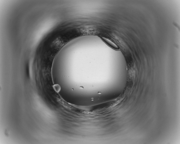 X0000097000429200802221525