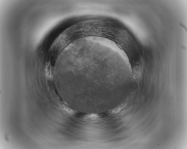 X0000097000431200802221525