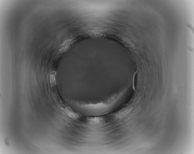 X0000097000432200802221525