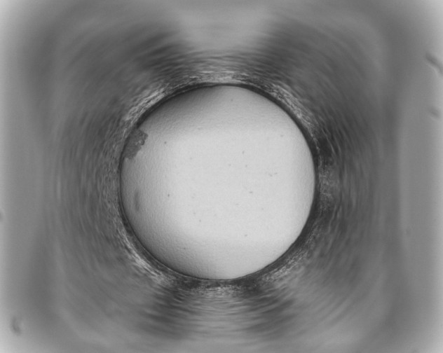 X0000097000433200802221524