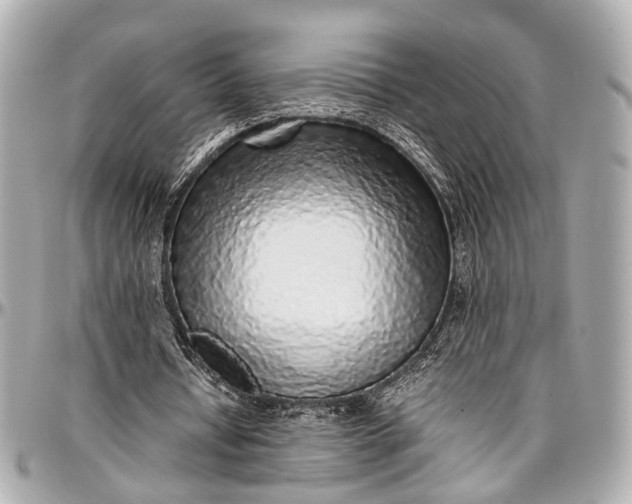 X0000097000434200802221524