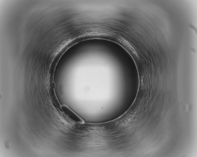 X0000097000436200802221524