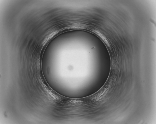 X0000097000437200802221524