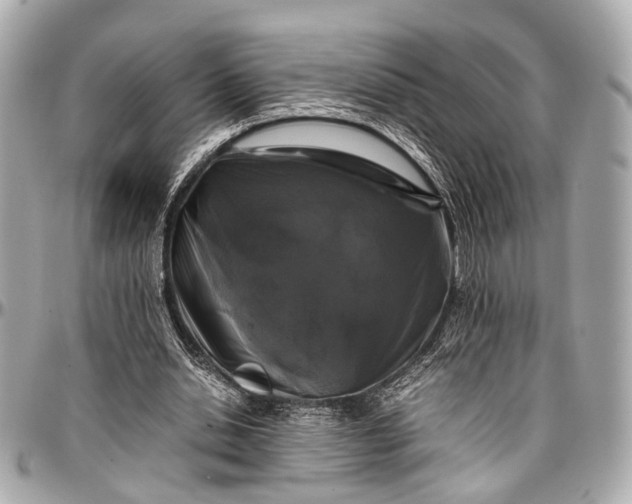 X0000097000438200802221524