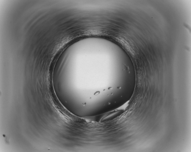 X0000097000439200802221524