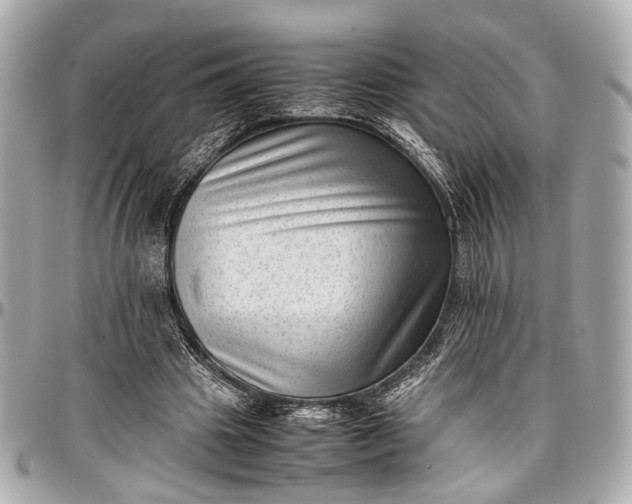 X0000097000441200802221524