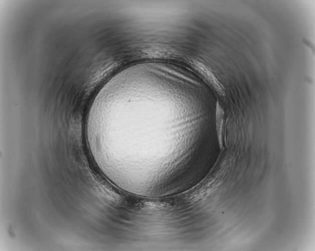 X0000097000442200802221524