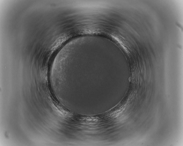 X0000097000443200802221524