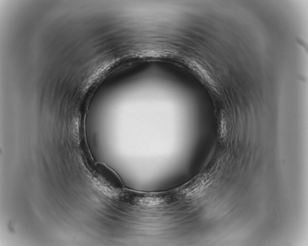 X0000097000444200802221524