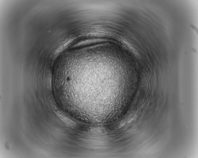 X0000097000446200802221524