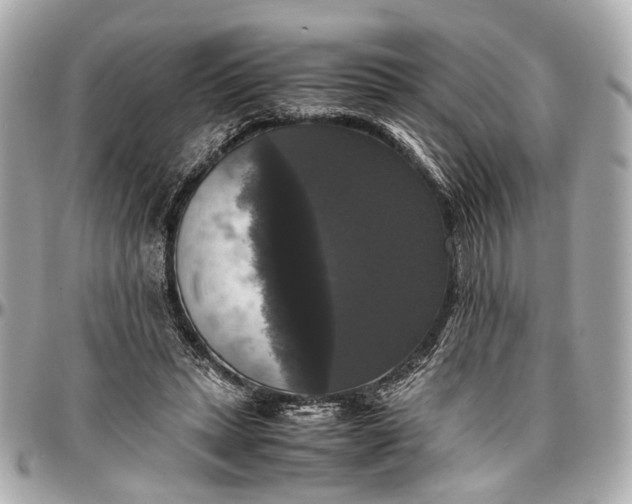 X0000097000447200802221524