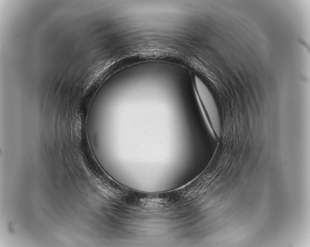 X0000097000448200802221524