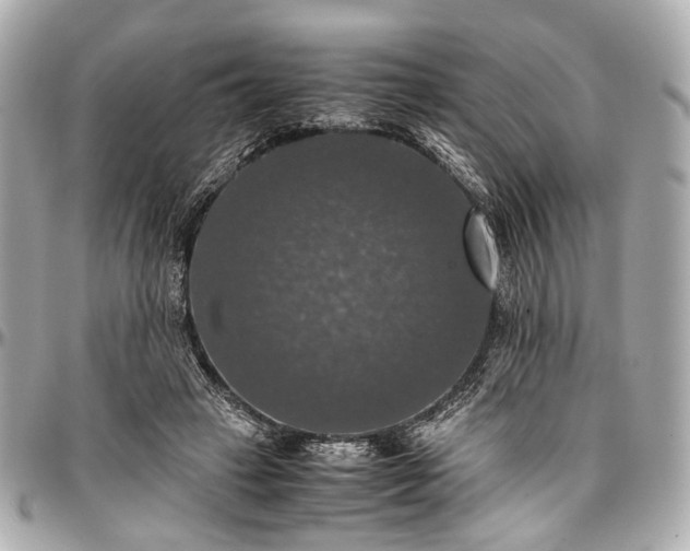 X0000097000449200802221524