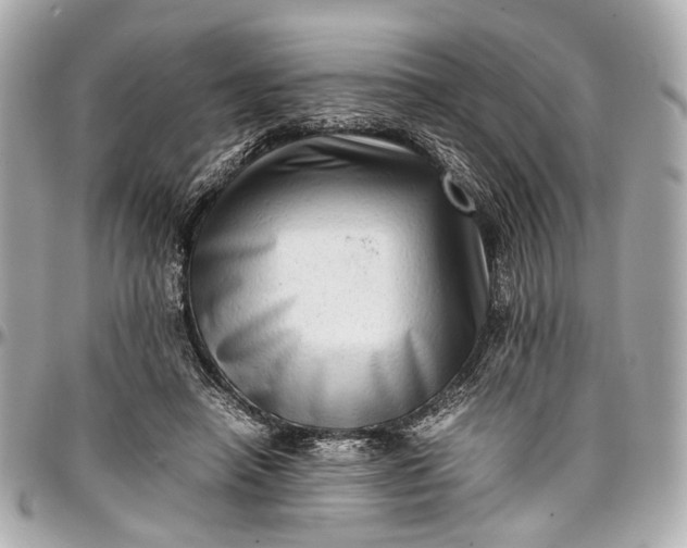 X0000097000450200802221524