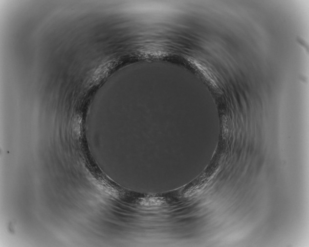 X0000097000451200802221524