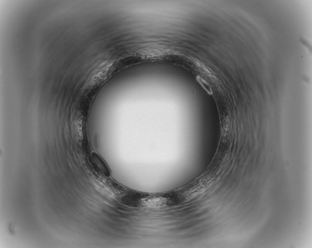 X0000097000452200802221524