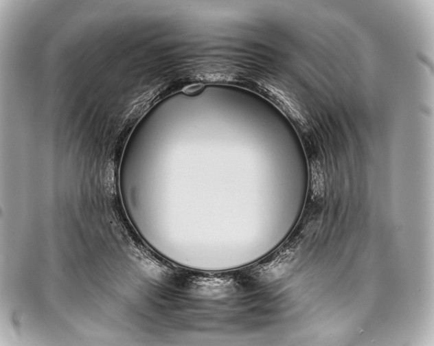 X0000097000453200802221525