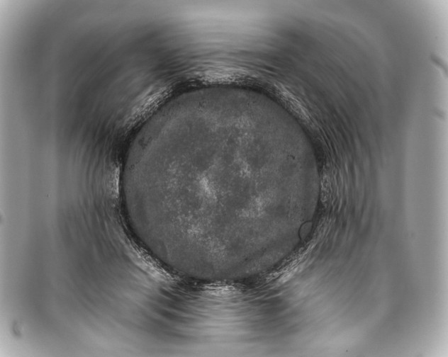 X0000097000454200802221525