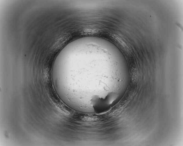 X0000097000455200802221525