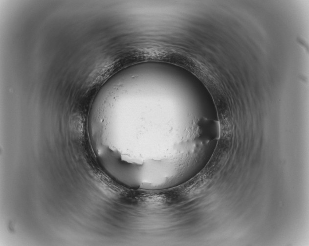 X0000097000456200802221525