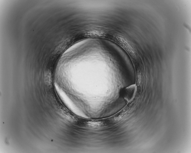 X0000097000457200802221525