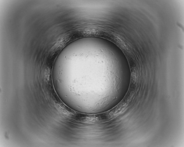 X0000097000458200802221525