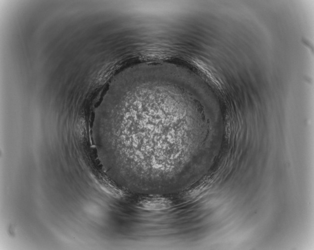 X0000097000459200802221525