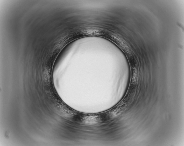 X0000097000461200802221525