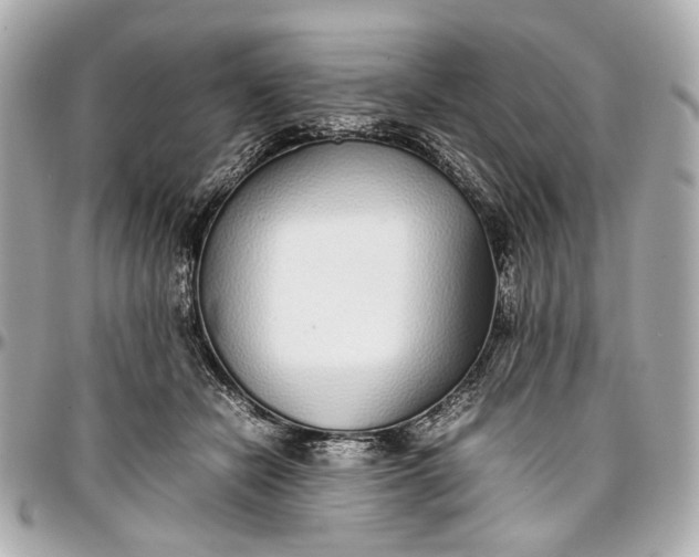 X0000097000462200802221525