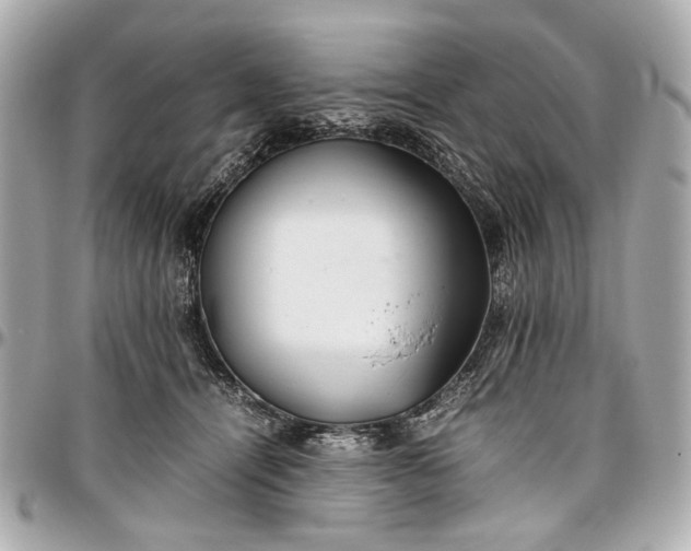 X0000097000464200802221525