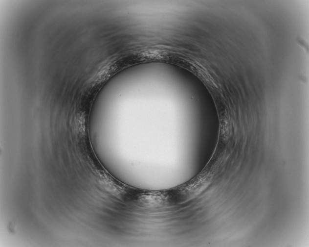 X0000097000466200802221525