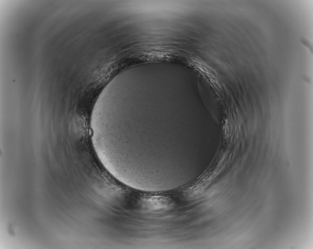 X0000097000467200802221525