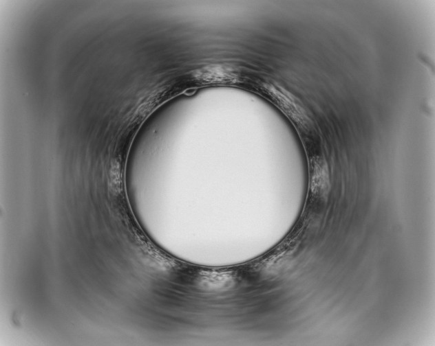 X0000097000469200802221525