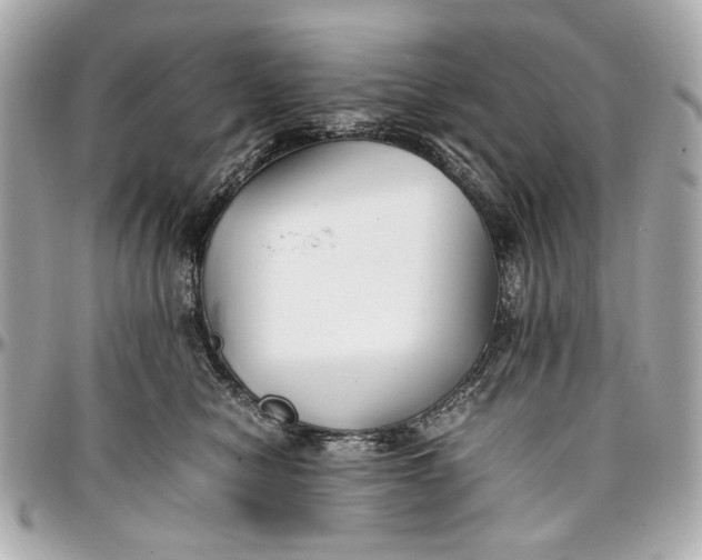 X0000097000470200802221525