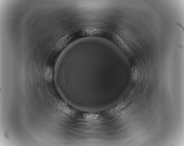 X0000097000471200802221525