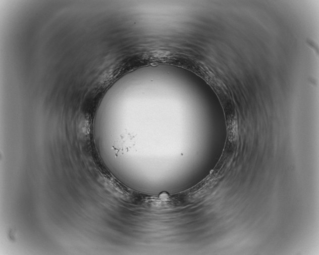 X0000097000472200802221525