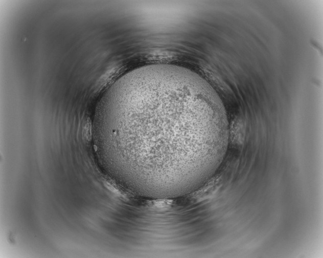 X0000097000474200802221525