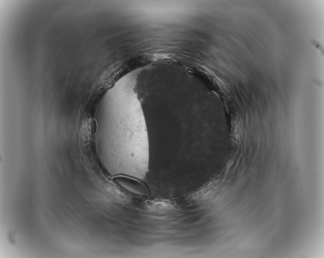 X0000097000475200802221525